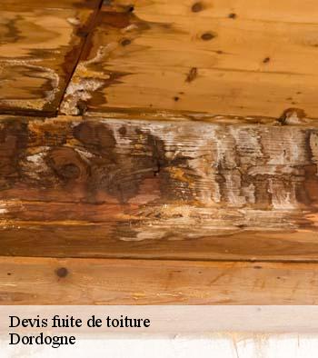 Devis fuite de toiture Dordogne