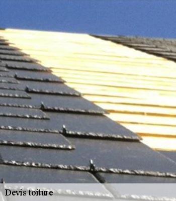 Devis toiture
