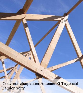 Couvreur charpentier  antonne-et-trigonant-24420 Fargier Sony