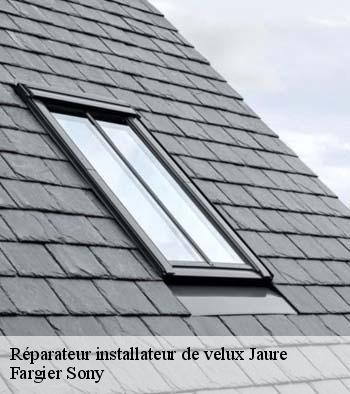 Réparateur installateur de velux  jaure-24140 Fargier Sony