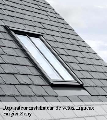 Réparateur installateur de velux  ligueux-24460 Fargier Sony