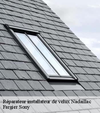 Réparateur installateur de velux  nadaillac-24590 Fargier Sony