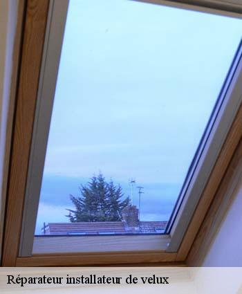 Réparateur installateur de velux
