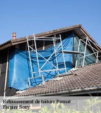Rehaussement de toiture  paunat-24510 Fargier Sony