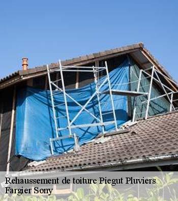 Rehaussement de toiture  piegut-pluviers-24360 Fargier Sony