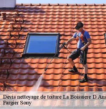 Devis nettoyage de toiture  la-boissiere-d-ans-24640 Fargier Sony