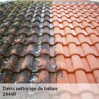 Devis nettoyage de toiture  24440