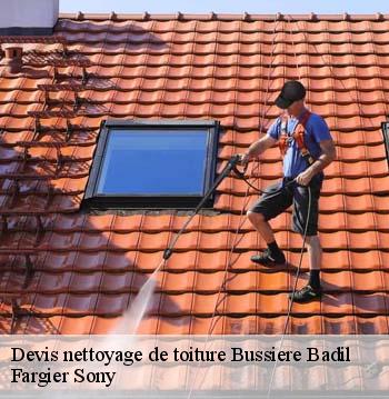 Devis nettoyage de toiture  bussiere-badil-24360 Fargier Sony