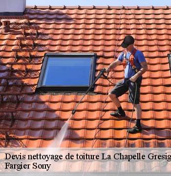 Devis nettoyage de toiture  la-chapelle-gresignac-24320 Fargier Sony