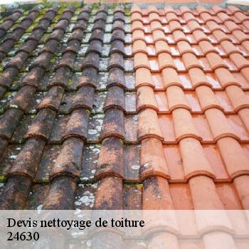 Devis nettoyage de toiture  24630