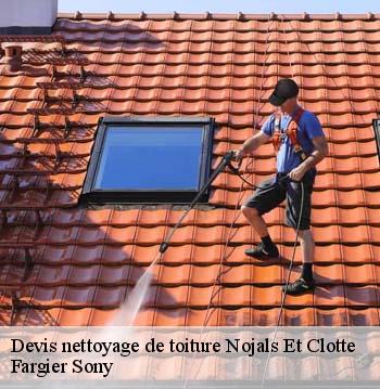Devis nettoyage de toiture  nojals-et-clotte-24440 Fargier Sony
