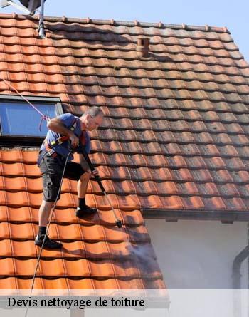 Devis nettoyage de toiture