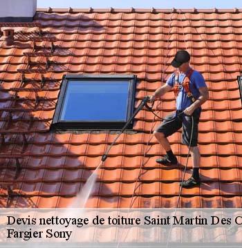 Devis nettoyage de toiture saint-martin-des-combes-24140 Fargier Sony