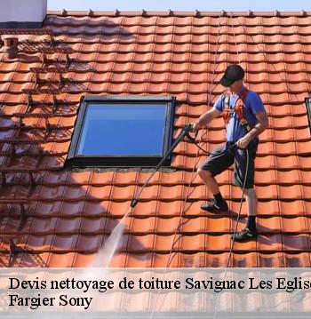 Devis nettoyage de toiture  savignac-les-eglises-24420 Fargier Sony