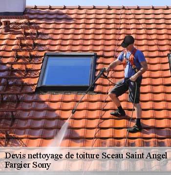 Devis nettoyage de toiture  sceau-saint-angel-24300 Fargier Sony
