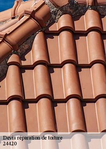 Devis réparation de toiture 24420