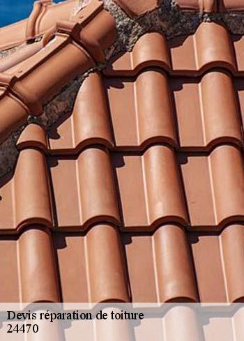 Devis réparation de toiture  24470