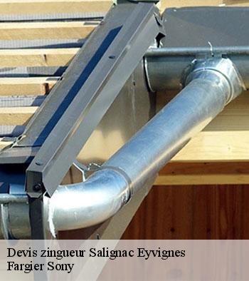 Devis zingueur  salignac-eyvignes-24590 Fargier Sony
