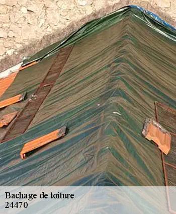 Bachage de toiture 24470