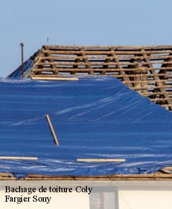 Bachage de toiture  coly-24120 Fargier Sony