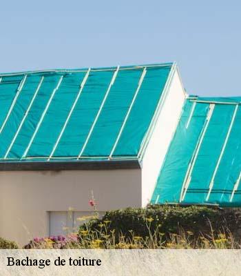 Bachage de toiture