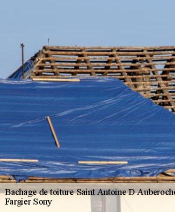 Bachage de toiture  saint-antoine-d-auberoche-24330 Fargier Sony