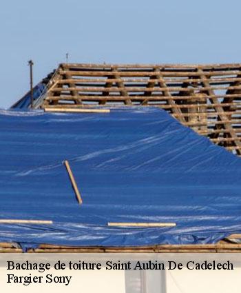 Bachage de toiture  saint-aubin-de-cadelech-24500 Fargier Sony