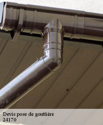 Devis pose de gouttière 24170