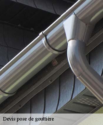 Devis pose de gouttière
