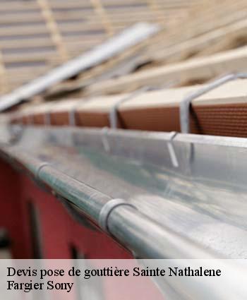 Devis pose de gouttière  sainte-nathalene-24200 Fargier Sony
