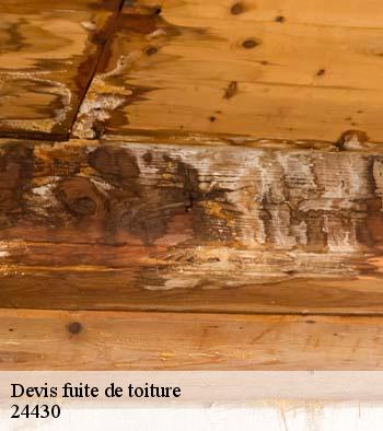 Devis fuite de toiture  24430