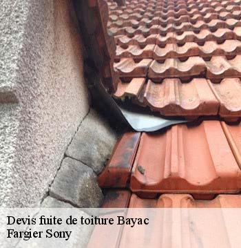 Devis fuite de toiture bayac-24150 Fargier Sony