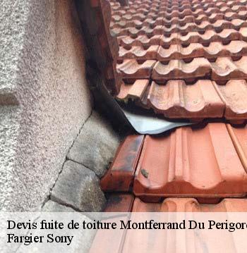 Devis fuite de toiture  montferrand-du-perigord-24440 Fargier Sony