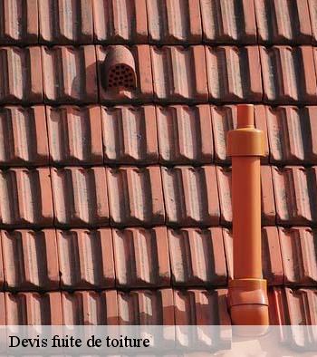 Devis fuite de toiture
