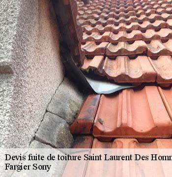 Devis fuite de toiture  saint-laurent-des-hommes-24400 Fargier Sony