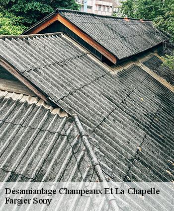 Désamiantage champeaux-et-la-chapelle-24340 Fargier Sony