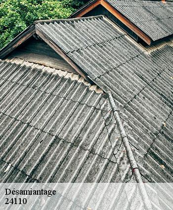 Désamiantage  24110